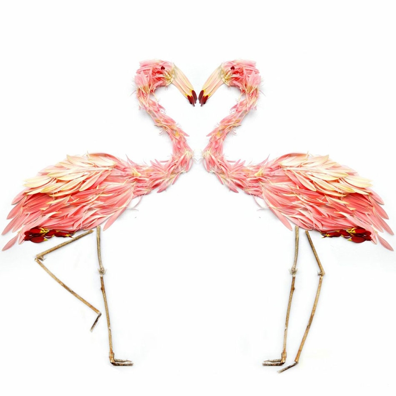 red-hong-yi flamingi.jpg